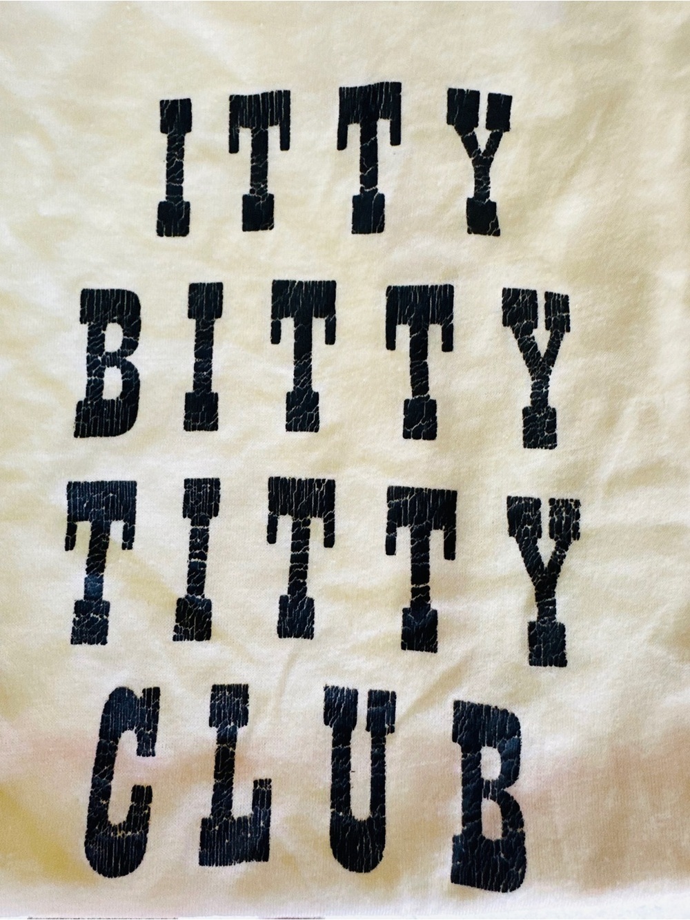 1970s Humor “ ITTY BITTY TITTY COMMITTEE “ T -shirt - Fantastic FIND & Rare - Picture 2 of 5